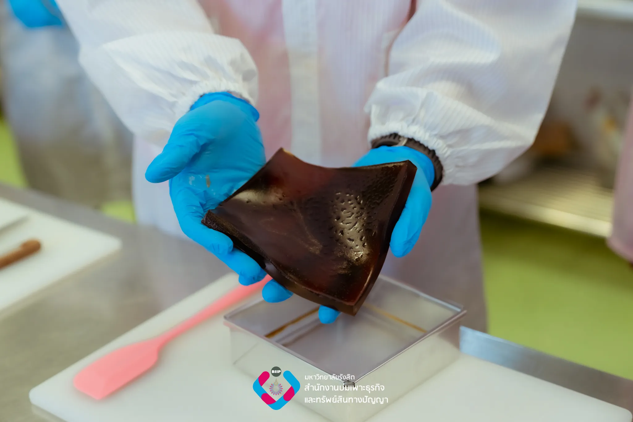 Webp_7M208758_result