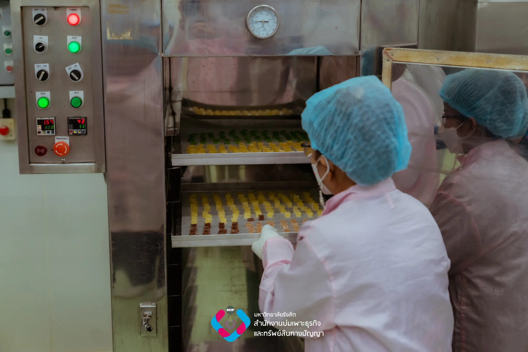 Webp_7M208842_result