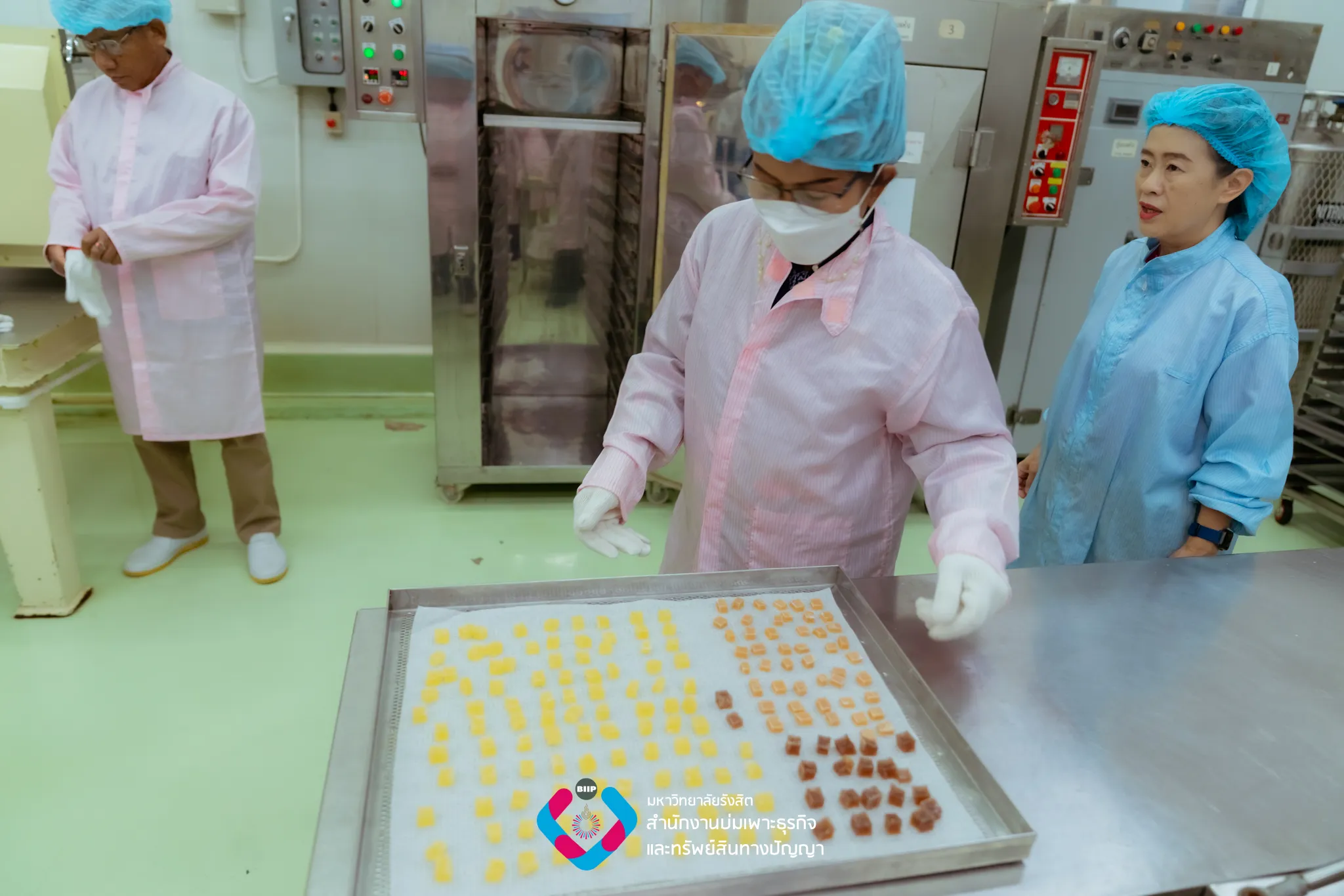 Webp_7M208846_result