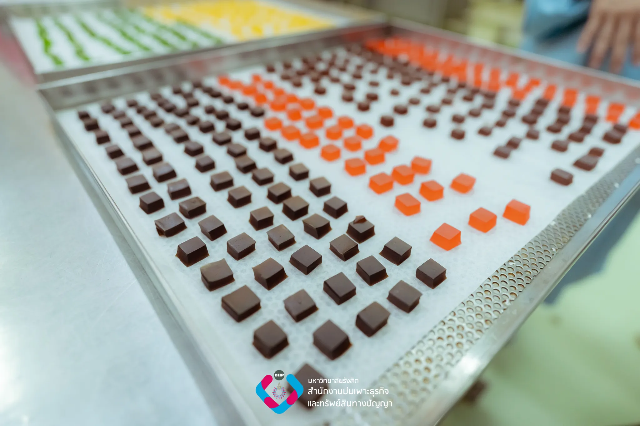 Webp_7M303864_result