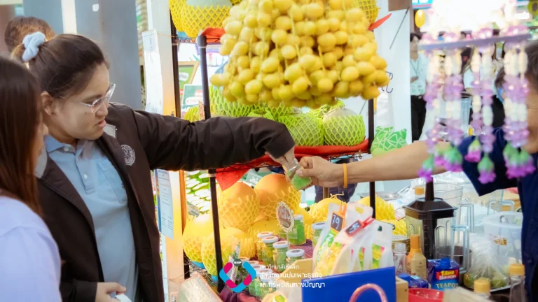 Webp_IMG_4931_result