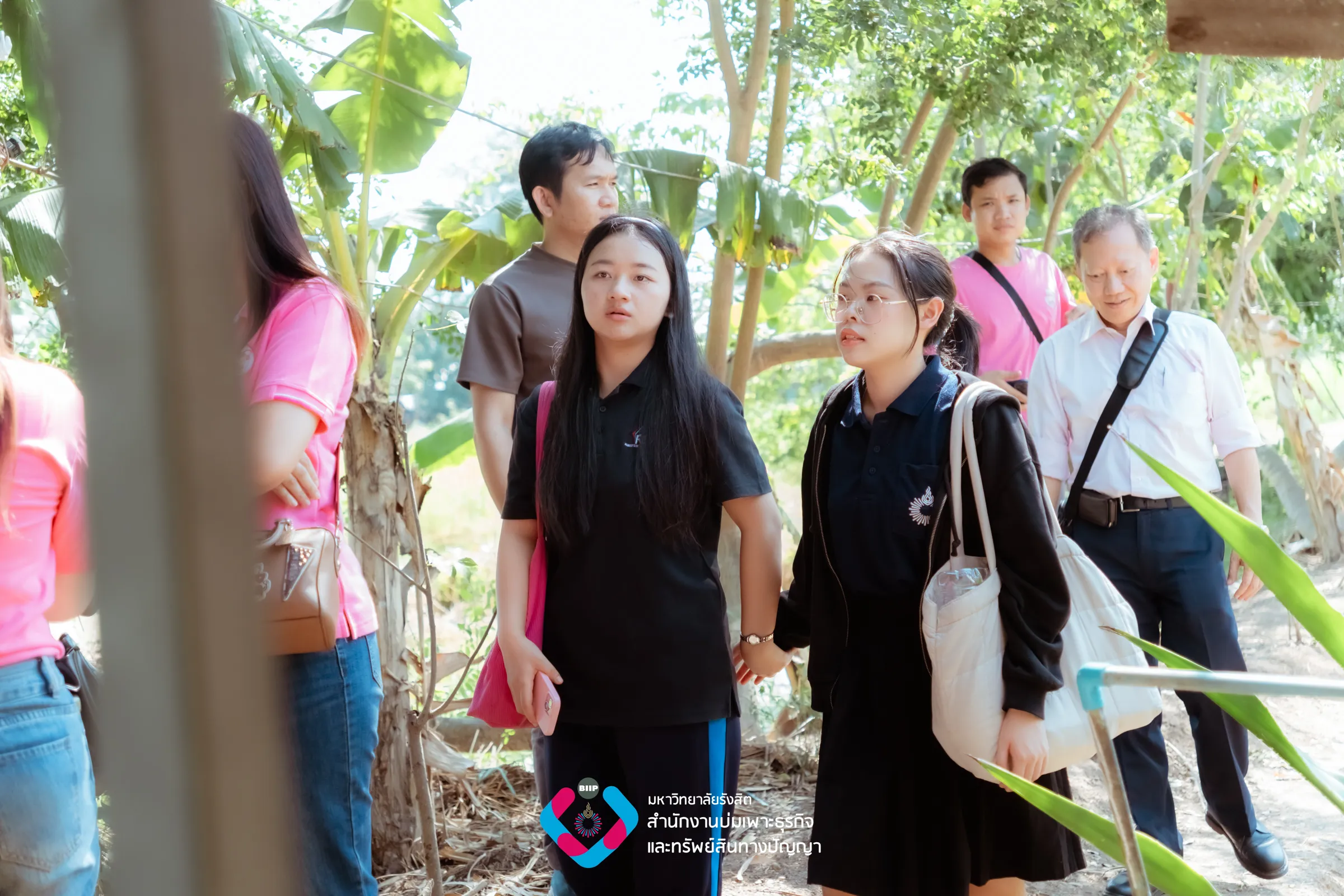 Webp_SN309840_result