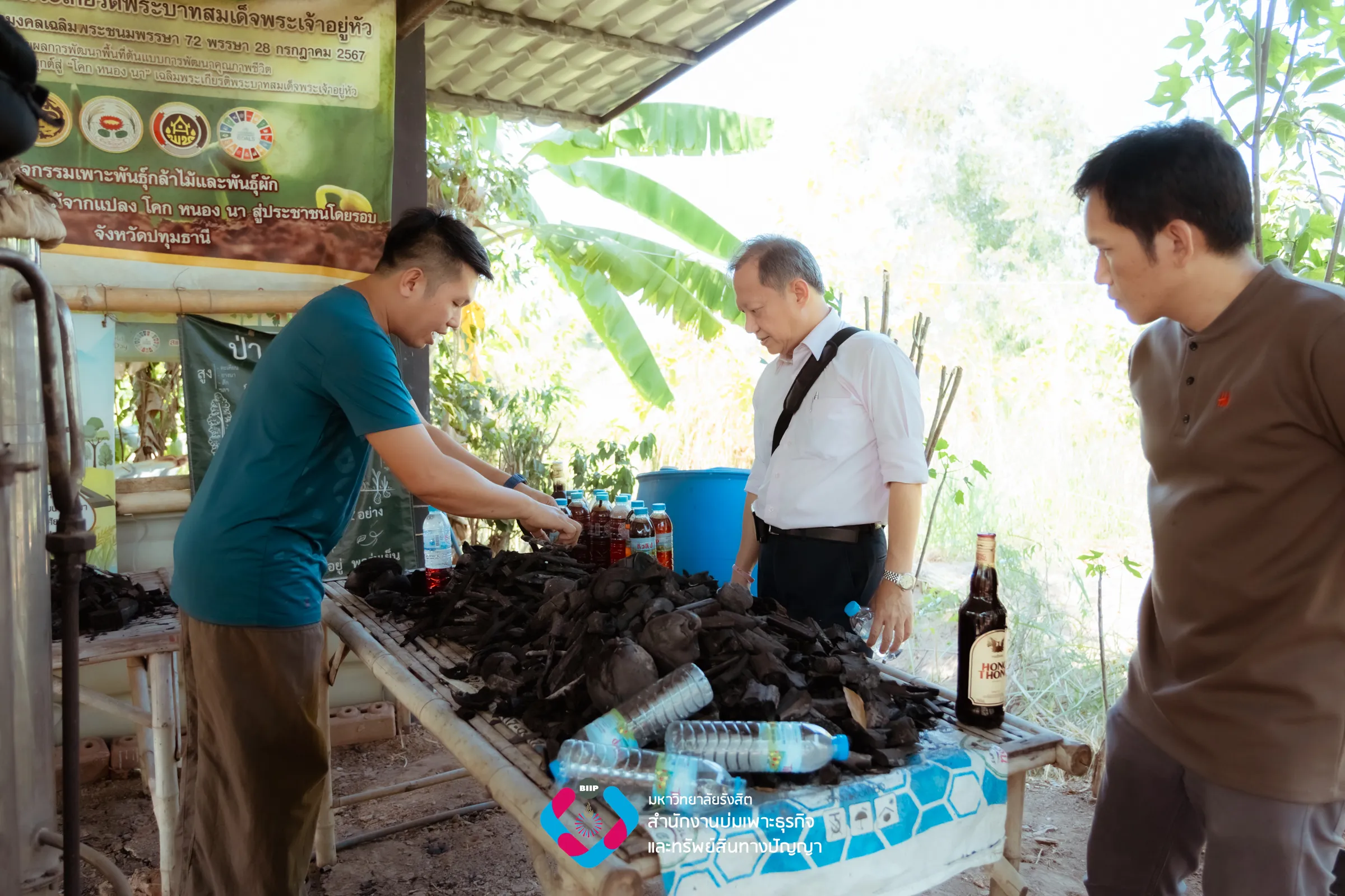 Webp_SN309855_result